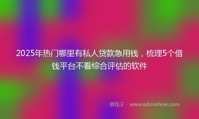 2025年热门哪里有私人贷款急用钱，梳理5个借钱平台不看综合评估的软件