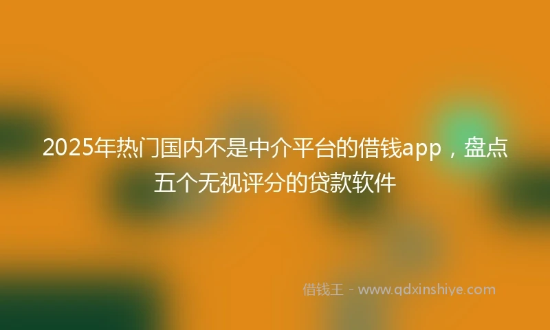 2025年热门国内不是中介平台的借钱app，盘点五个无视评分的贷款软件