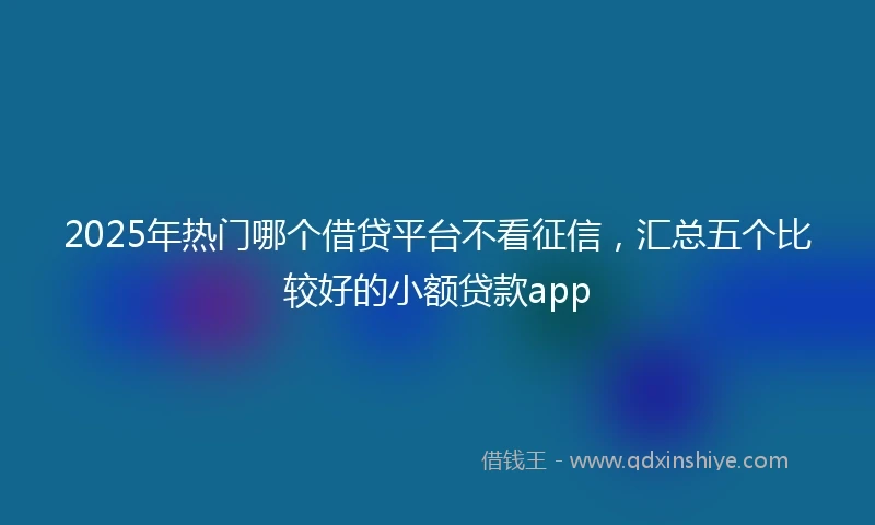 2025年热门哪个借贷平台不看征信,汇总五个比较好的小额贷款app