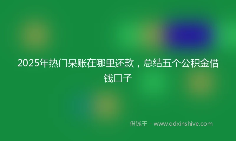 2025年热门呆账在哪里还款，总结五个公积金借钱口子