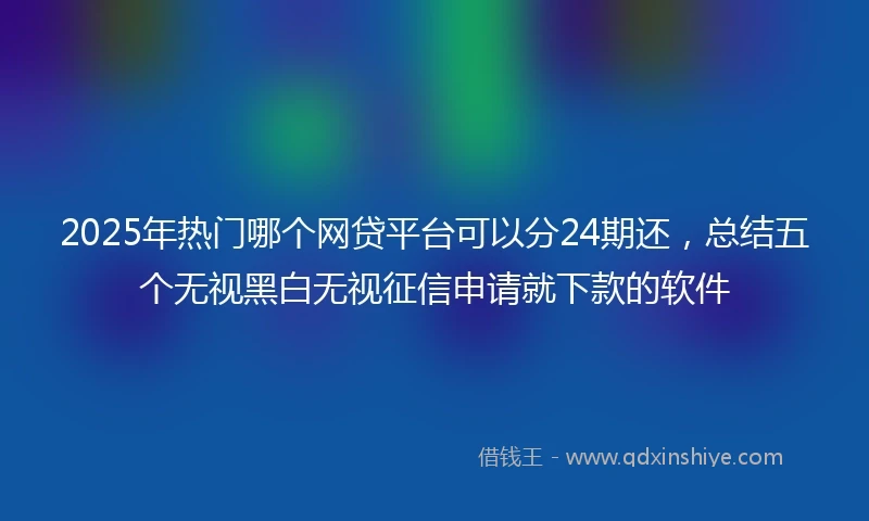 2025年热门哪个网贷平台可以分24期还，总结五个无视黑白无视征信申请就下款的软件