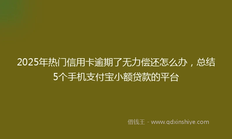 2025年热门信用卡逾期了无力偿还怎么办，总结5个手机支付宝小额贷款的平台