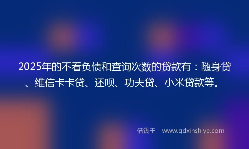 2025年的不看负债和查询次数的贷款有：随身贷、维信卡卡贷、还呗、功夫贷、小米贷款等。
