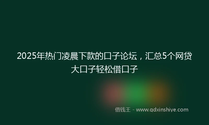 2025年热门凌晨下款的口子论坛，汇总5个网贷大口子轻松借口子