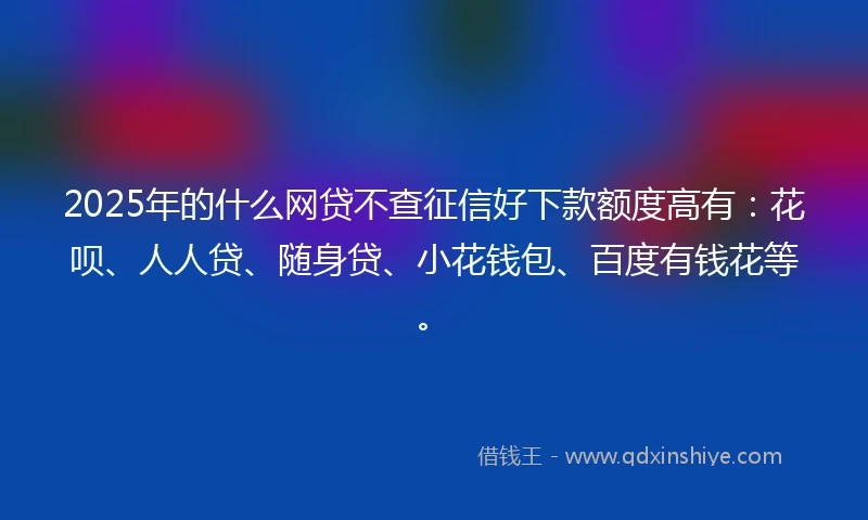 2025年的什么网贷不查征信好下款额度高有：花呗、人人贷、随身贷、小花钱包、百度有钱花等。