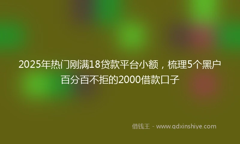 2025年热门刚满18贷款平台小额，梳理5个黑户百分百不拒的2000借款口子