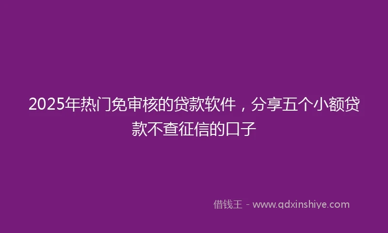 2025年热门免审核的贷款软件，分享五个小额贷款不查征信的口子