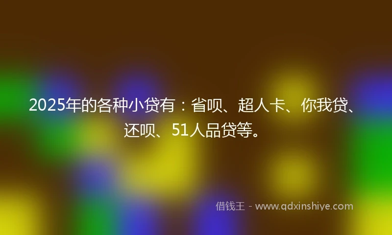 2025年的各种小贷有：省呗、超人卡、你我贷、还呗、51人品贷等。