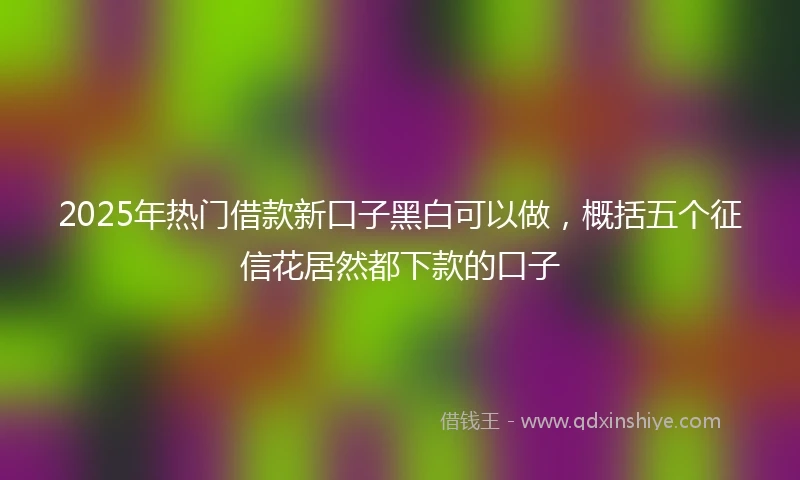 2025年热门借款新口子黑白可以做，概括五个征信花居然都下款的口子