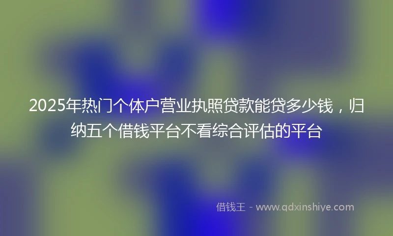 2025年热门个体户营业执照贷款能贷多少钱，归纳五个借钱平台不看综合评估的平台