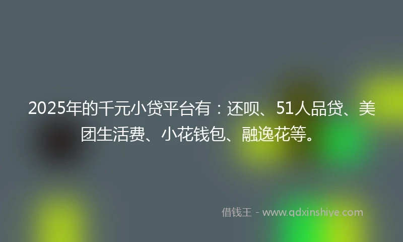 2025年的千元小贷平台有：还呗、51人品贷、美团生活费、小花钱包、融逸花等。