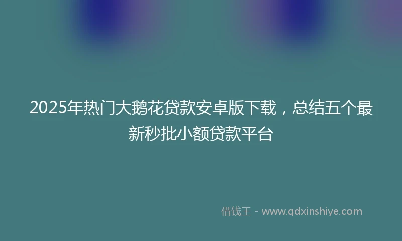 2025年热门大鹅花贷款安卓版下载，总结五个最新秒批小额贷款平台
