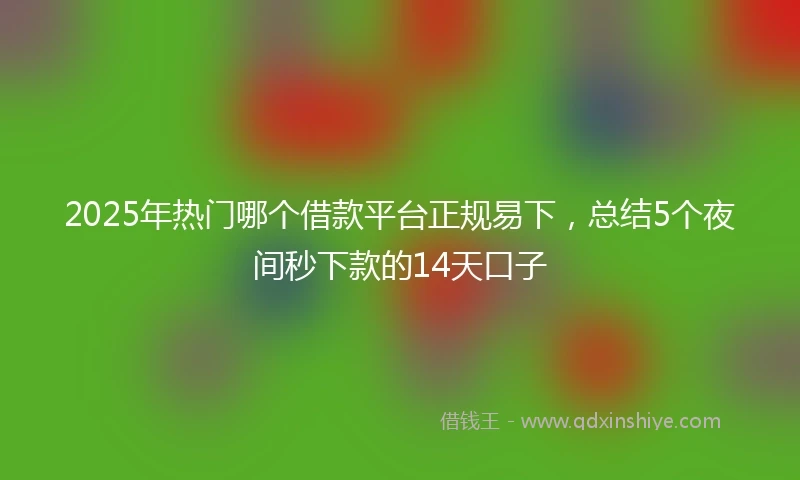 2025年热门哪个借款平台正规易下，总结5个夜间秒下款的14天口子