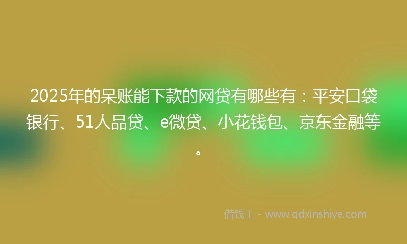 2025年的呆账能下款的网贷有哪些有：平安口袋银行、51人品贷、e微贷、小花钱包、京东金融等。