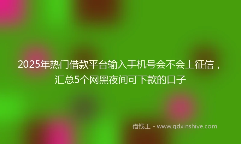 2025年热门借款平台输入手机号会不会上征信，汇总5个网黑夜间可下款的口子