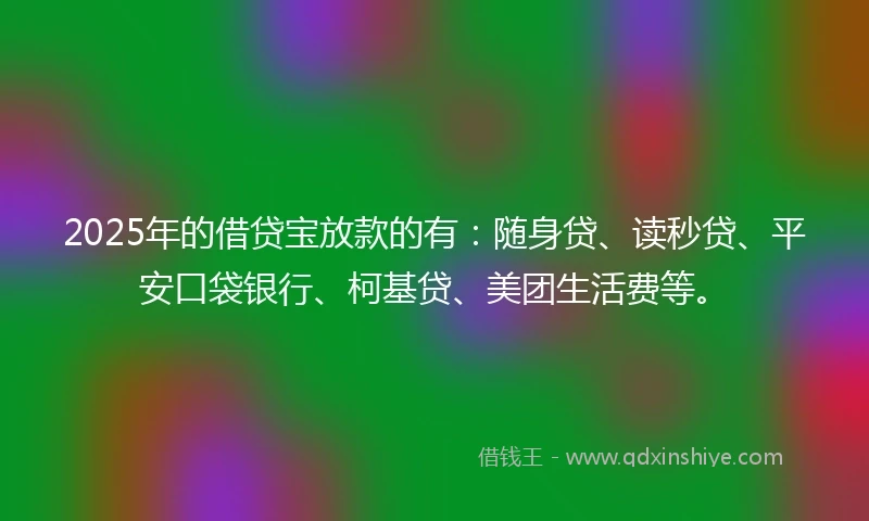 2025年的借贷宝放款的有：随身贷、读秒贷、平安口袋银行、柯基贷、美团生活费等。