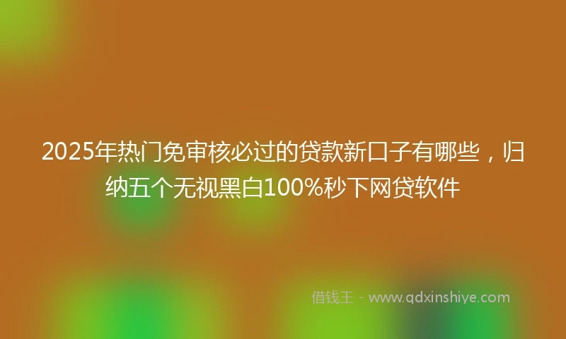 2025年热门免审核必过的贷款新口子有哪些，归纳五个无视黑白100%秒下网贷软件