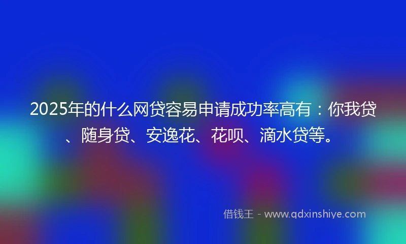 2025年的什么网贷容易申请成功率高有：你我贷、随身贷、安逸花、花呗、滴水贷等。