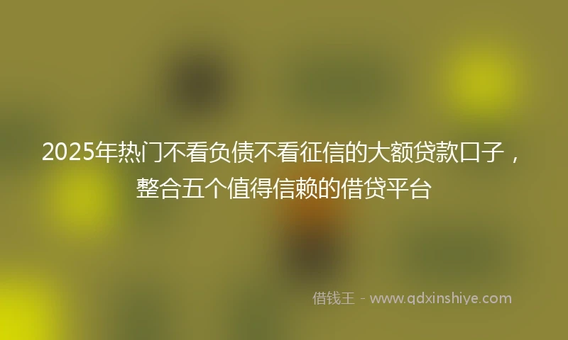 2025年热门不看负债不看征信的大额贷款口子，整合五个值得信赖的借贷平台