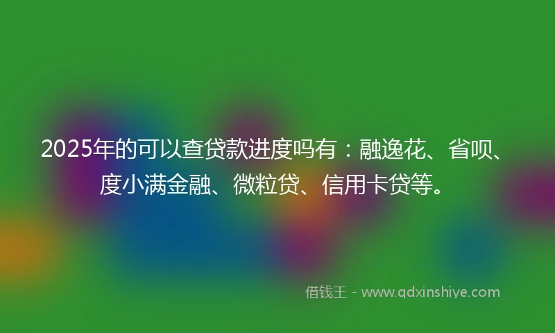 2025年的可以查贷款进度吗有：融逸花、省呗、度小满金融、微粒贷、信用卡贷等。