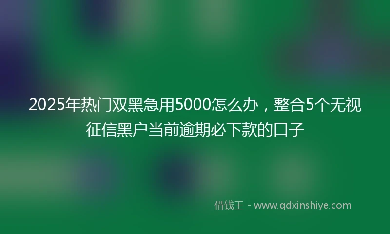 2025年热门双黑急用5000怎么办，整合5个无视征信黑户当前逾期必下款的口子