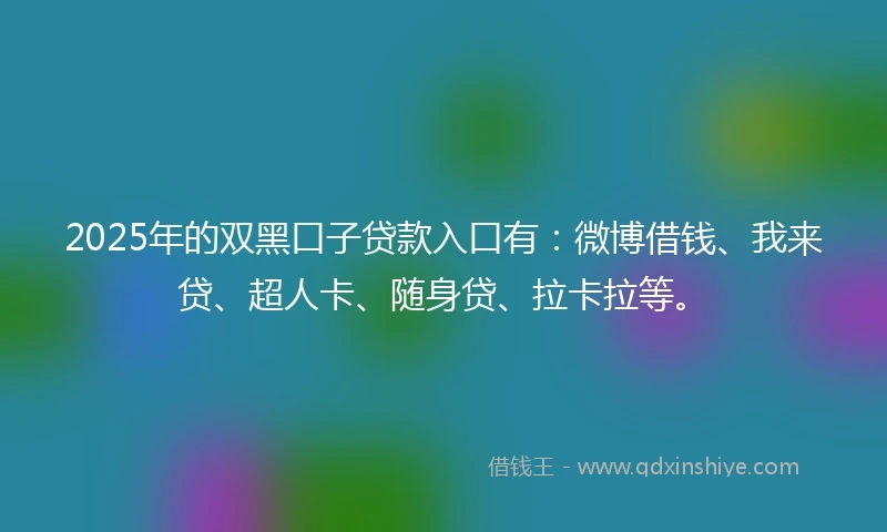 2025年的双黑口子贷款入口有：微博借钱、我来贷、超人卡、随身贷、拉卡拉等。