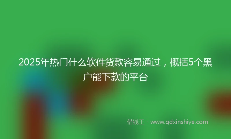 2025年热门什么软件货款容易通过，概括5个黑户能下款的平台