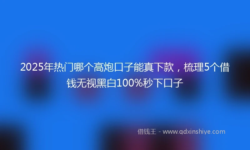 2025年热门哪个高炮口子能真下款，梳理5个借钱无视黑白100%秒下口子