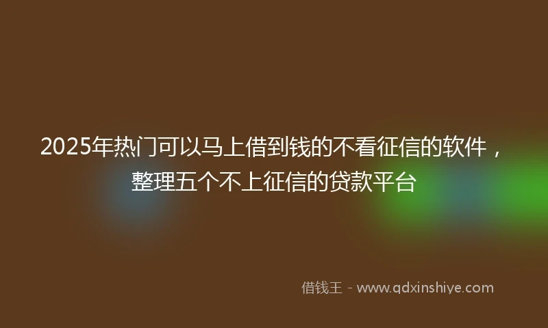 2025年热门可以马上借到钱的不看征信的软件，整理五个不上征信的贷款平台