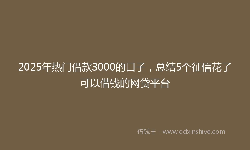 2025年热门借款3000的口子，总结5个征信花了可以借钱的网贷平台