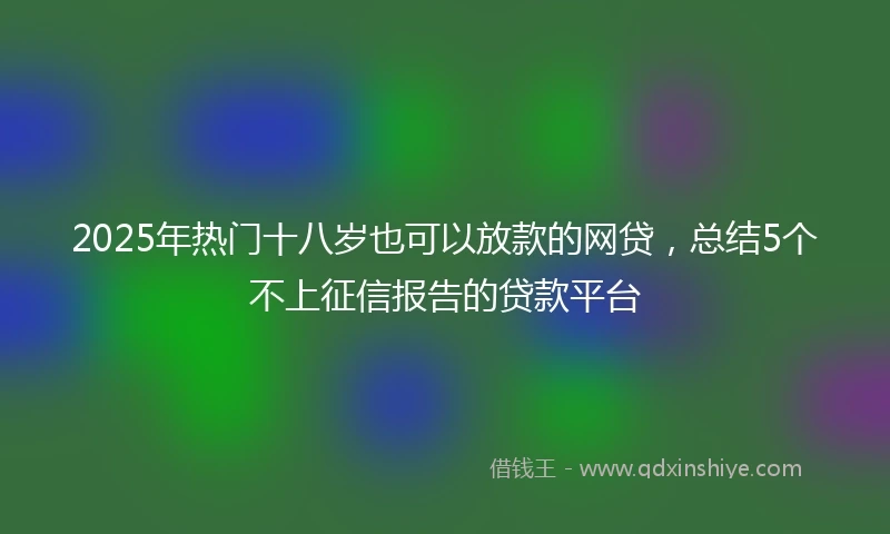 2025年热门十八岁也可以放款的网贷，总结5个不上征信报告的贷款平台