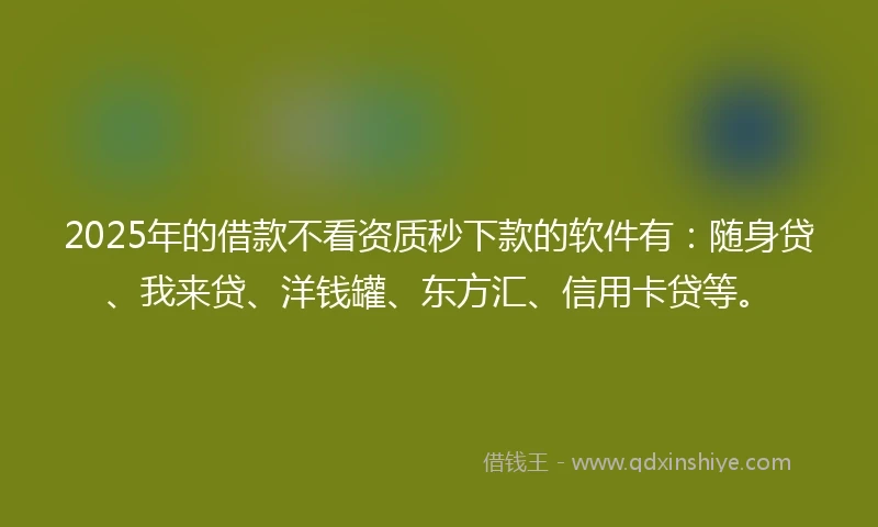2025年的借款不看资质秒下款的软件有：随身贷、我来贷、洋钱罐、东方汇、信用卡贷等。