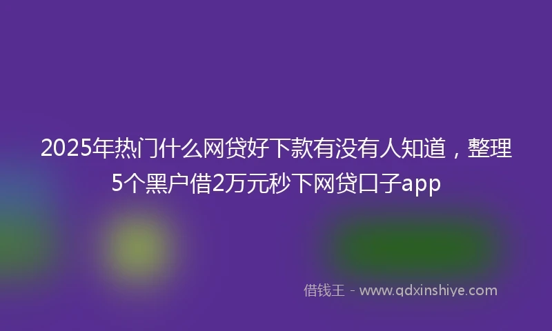 2025年热门什么网贷好下款有没有人知道，整理5个黑户借2万元秒下网贷口子app