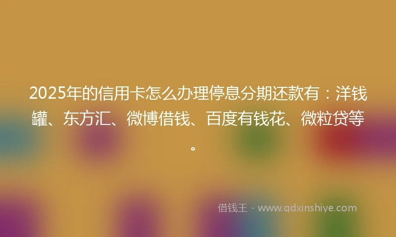 2025年的信用卡怎么办理停息分期还款有：洋钱罐、东方汇、微博借钱、百度有钱花、微粒贷等。