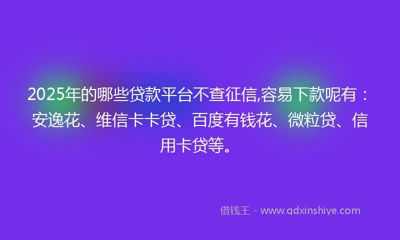 2025年的哪些贷款平台不查征信,容易下款呢有：安逸花、维信卡卡贷、百度有钱花、微粒贷、信用卡贷等。