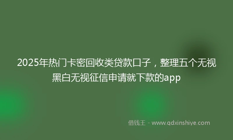 2025年热门卡密回收类贷款口子，整理五个无视黑白无视征信申请就下款的app
