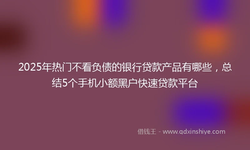 2025年热门不看负债的银行贷款产品有哪些，总结5个手机小额黑户快速贷款平台