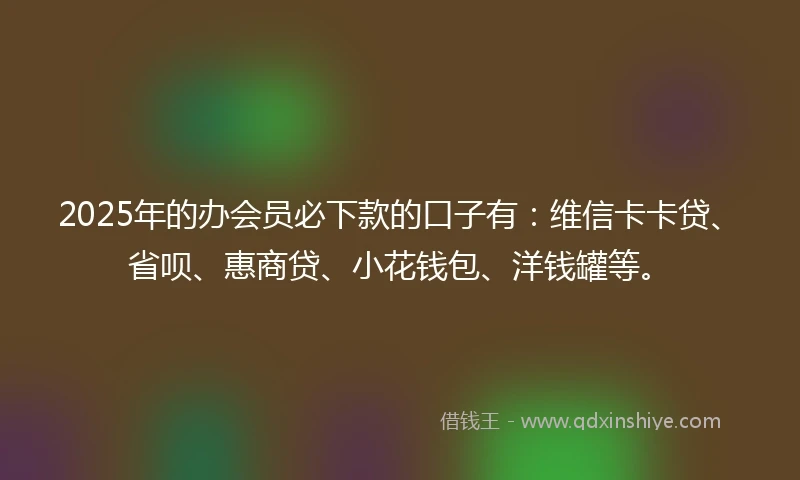 2025年的办会员必下款的口子有：维信卡卡贷、省呗、惠商贷、小花钱包、洋钱罐等。