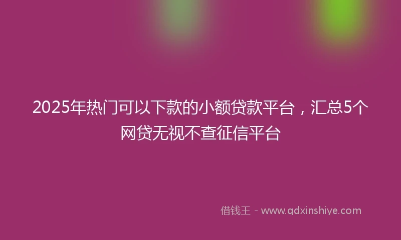 2025年热门可以下款的小额贷款平台，汇总5个网贷无视不查征信平台