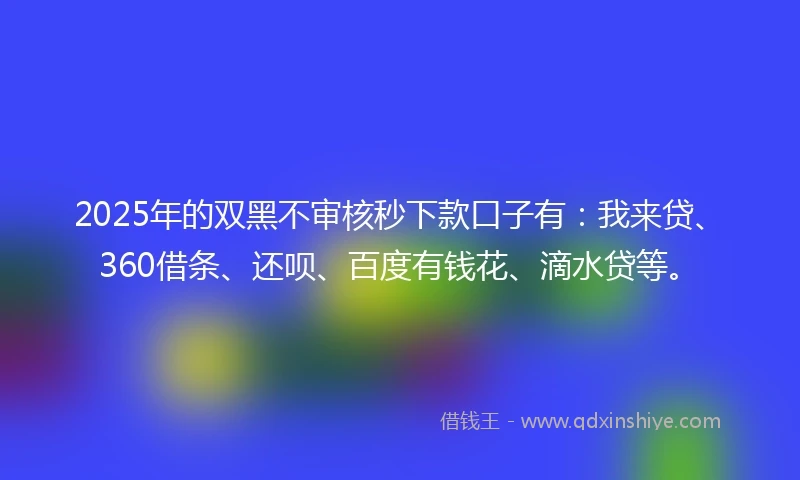 2025年的双黑不审核秒下款口子有：我来贷、360借条、还呗、百度有钱花、滴水贷等。