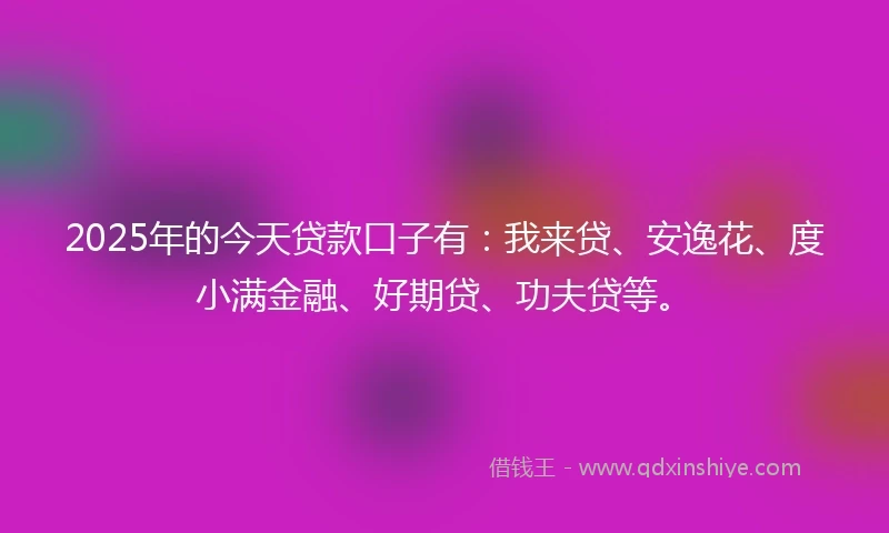 2025年的今天贷款口子有：我来贷、安逸花、度小满金融、好期贷、功夫贷等。