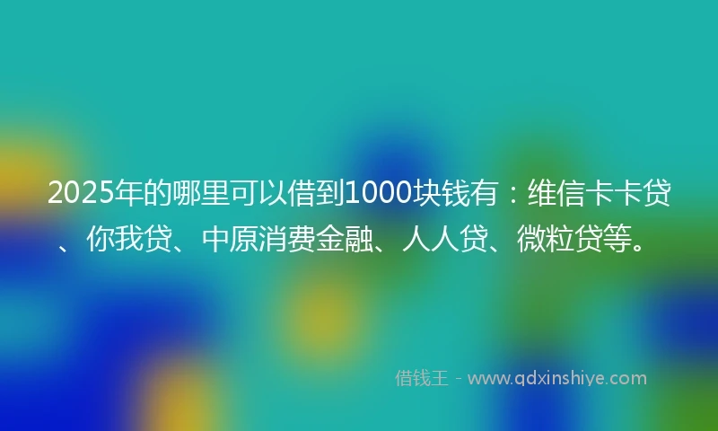 2025年的哪里可以借到1000块钱有：维信卡卡贷、你我贷、中原消费金融、人人贷、微粒贷等。
