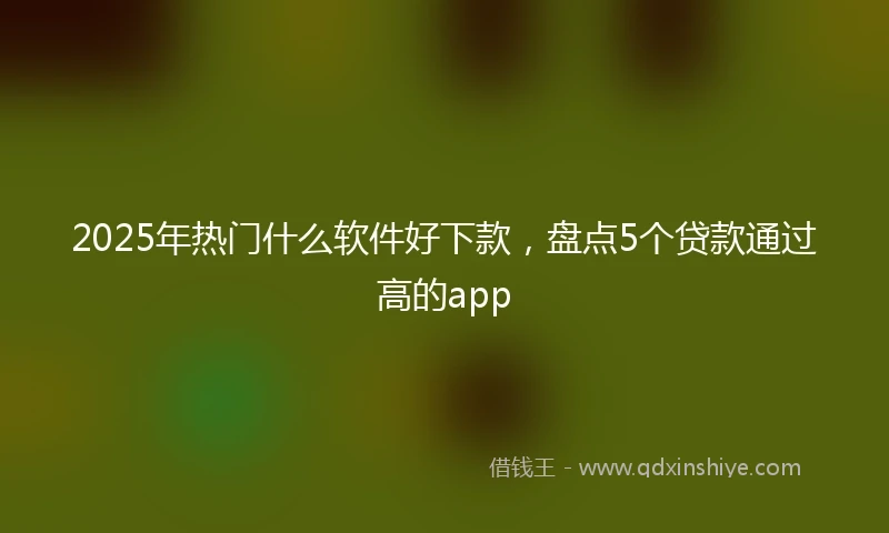 2025年热门什么软件好下款，盘点5个贷款通过高的app