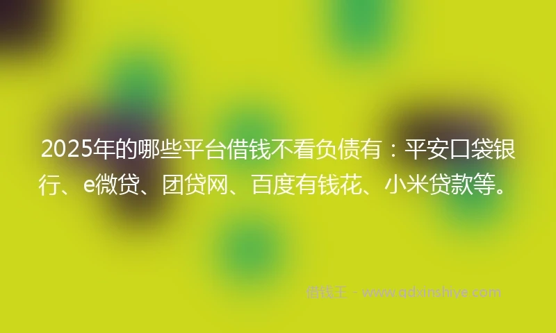 2025年的哪些平台借钱不看负债有：平安口袋银行、e微贷、团贷网、百度有钱花、小米贷款等。