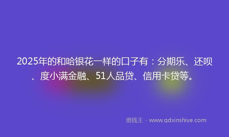 2025年的和哈银花一样的口子有：分期乐、还呗、度小满金融、51人品贷、信用卡贷等。