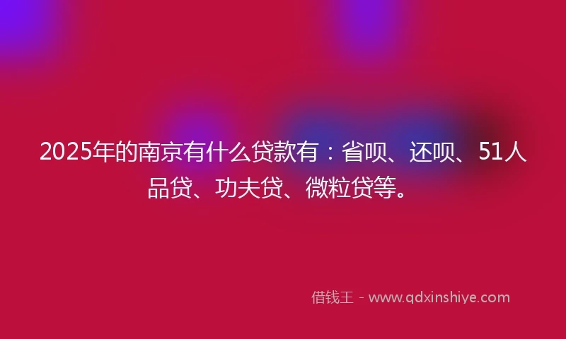2025年的南京有什么贷款有：省呗、还呗、51人品贷、功夫贷、微粒贷等。