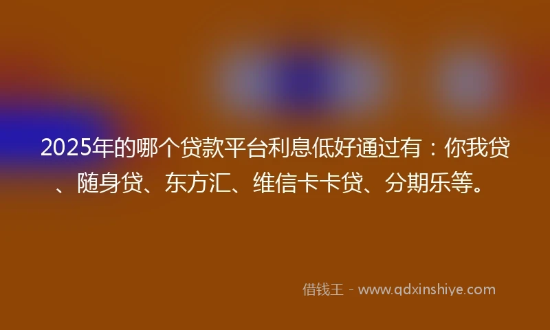 2025年的哪个贷款平台利息低好通过有：你我贷、随身贷、东方汇、维信卡卡贷、分期乐等。