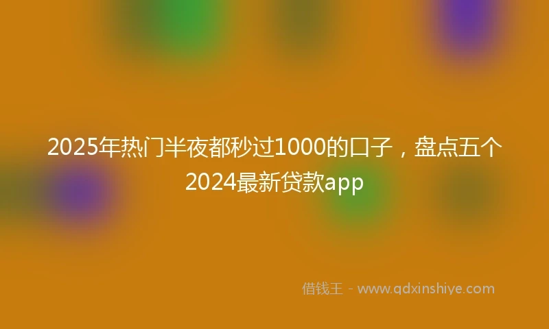 2025年热门半夜都秒过1000的口子，盘点五个2024最新贷款app