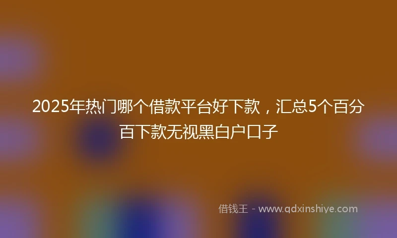 2025年热门哪个借款平台好下款，汇总5个百分百下款无视黑白户口子