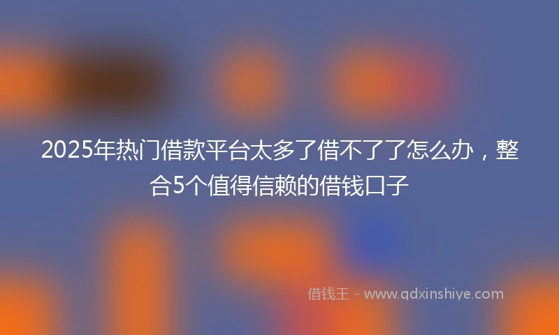 2025年热门借款平台太多了借不了了怎么办，整合5个值得信赖的借钱口子